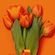 1Eflower_thumb