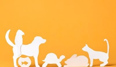 mod2HeaderPic mod2HeaderPic