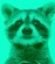 rodent_thumb